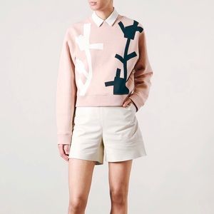 ACNE Cropped Sweatshirt